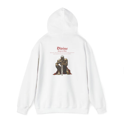 Armor of God Hoodie : 9 ENTRIES