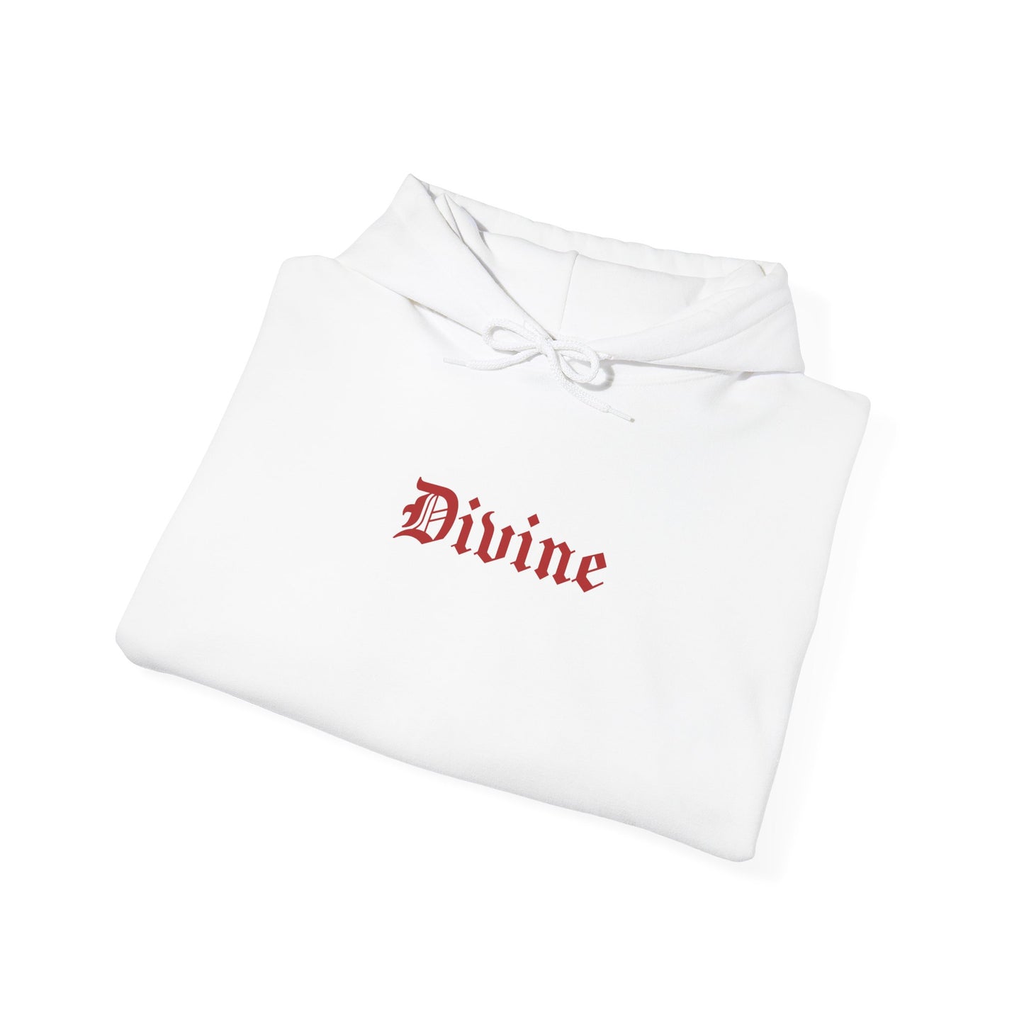 Armor of God Hoodie : 9 ENTRIES