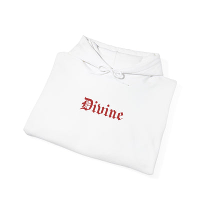 Armor of God Hoodie : 9 ENTRIES